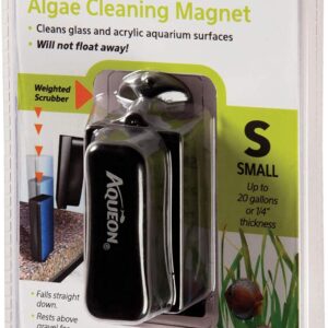 Aqueon Aquarium Algae Cleaning Magnets Glass/Acrylic, Small, Black